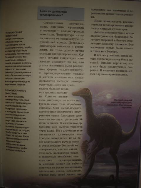 Иллюстрация 16 из 17 для Динозавры - Иоахим Опперман | Лабиринт - книги. Источник: Настёна