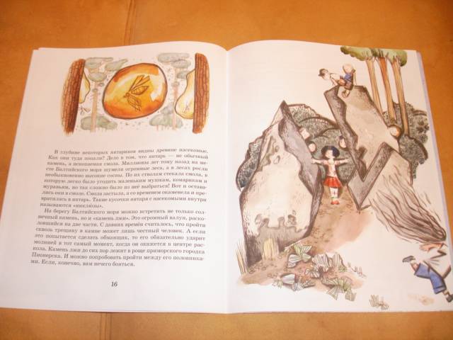 Иллюстрация 12 из 28 для Калининград: там, где танцует лес - Ольга Велейко | Лабиринт - книги. Источник: Осьминожка