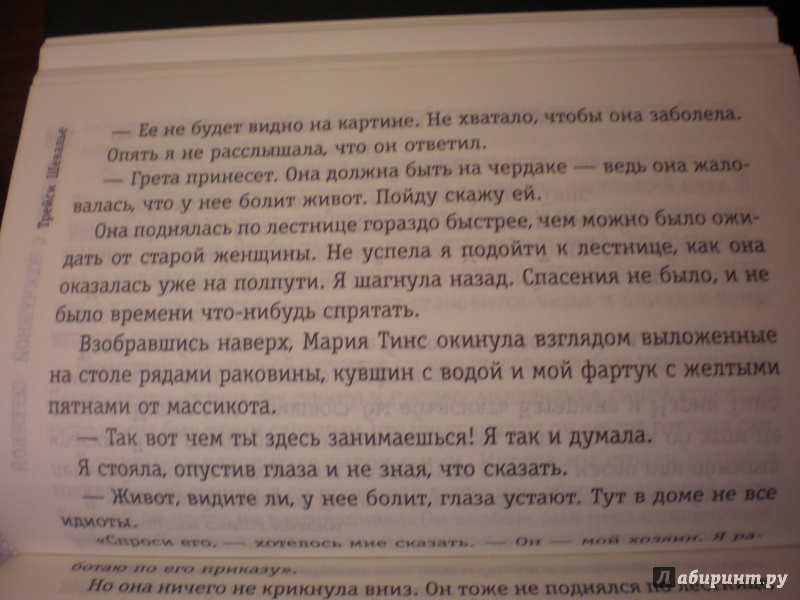 Иллюстрация 13 из 13 для Девушка с жемчужной сережкой - Трейси Шевалье | Лабиринт - книги. Источник: Бабаева  Юлия Вадимовна