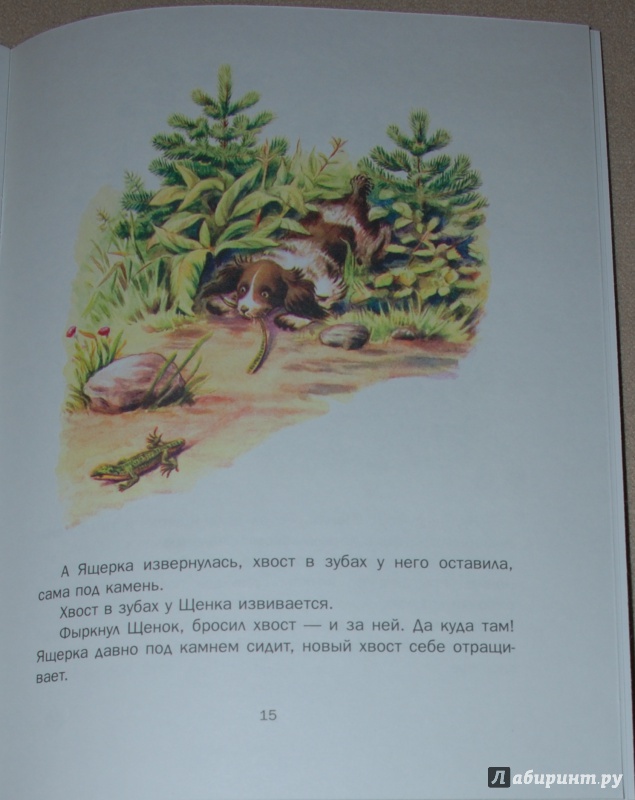 Иллюстрация 48 из 58 для Первая охота - Виталий Бианки | Лабиринт - книги. Источник: Книжный кот