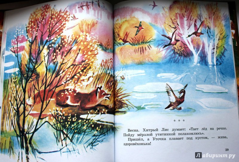 Иллюстрация 8 из 34 для Теремок - Виталий Бианки | Лабиринт - книги. Источник: Половинкина  Юлия
