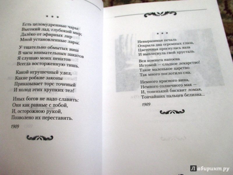 Иллюстрация 10 из 18 для Стихотворения - Осип Мандельштам | Лабиринт - книги. Источник: Анастасия Доровко