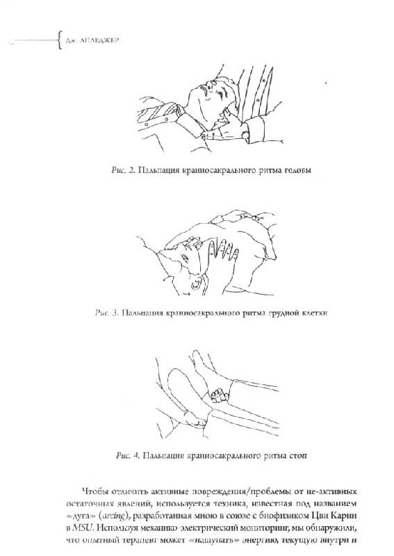 Иллюстрация 6 из 20 для Краниосакральная терапия: что это? Как это работает? - Джон Апледжер | Лабиринт - книги. Источник: Юта