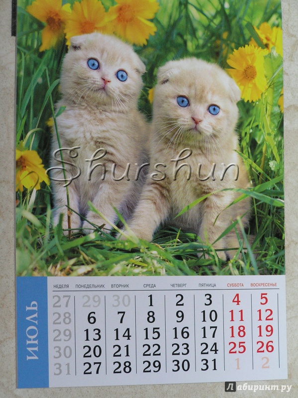 Иллюстрация 16 из 19 для Календарь на 2015 год "Кошки" (на магнитном креплении) (35772-36) | Лабиринт - сувениры. Источник: Shurshun