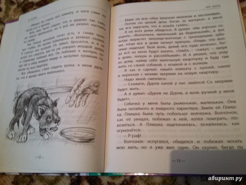 Иллюстрация 10 из 49 для Разиня и другие рассказы - Борис Житков | Лабиринт - книги. Источник: З.  Татьяна