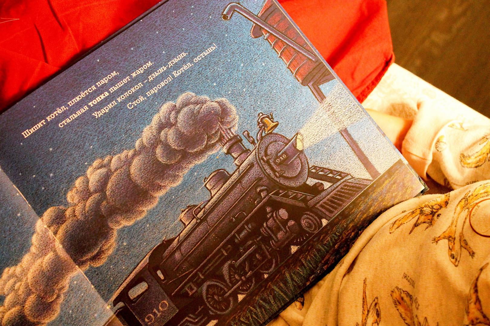 Иллюстрация 86 из 95 для Чудный поезд мчится в сон - Ринкер Даски | Лабиринт - книги. Источник: Fomina  Ksenia