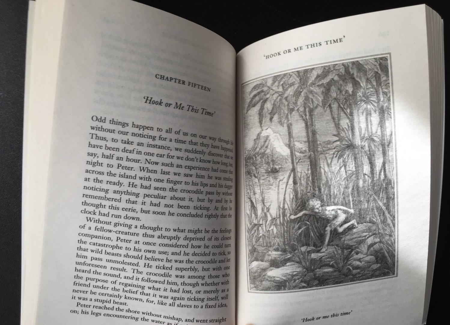 Иллюстрация 34 из 47 для Peter Pan - James Barrie | Лабиринт - книги. Источник: u_p
