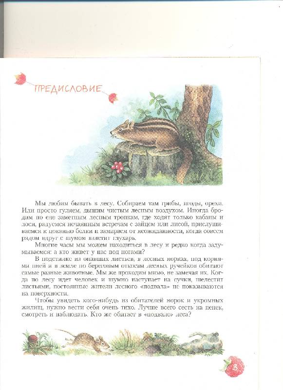 Иллюстрация 32 из 38 для Кто в лесной норе живет?: книга для чтения детям - Александр Тамбиев | Лабиринт - книги. Источник: Nchk