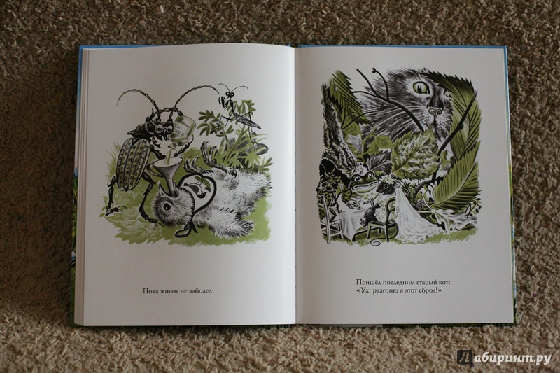 Иллюстрация 44 из 46 для Лягушонок женится - Джон Лангстафф | Лабиринт - книги. Источник: дважды
