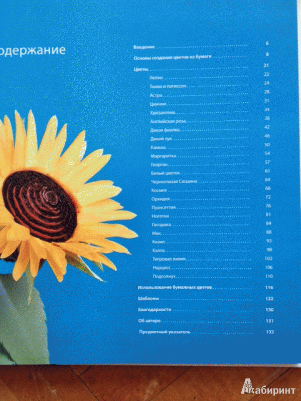 Иллюстрация 3 из 25 для Цветы и букеты из бумаги - Джеффри Руделл | Лабиринт - книги. Источник: Пушкарева  Ирина Владимировна