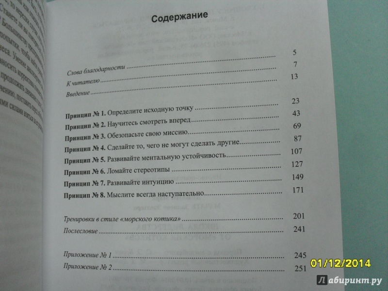 Иллюстрация 8 из 8 для Школа лидерства от морских котиков - Дивайн, Мачате | Лабиринт - книги. Источник: dbyyb