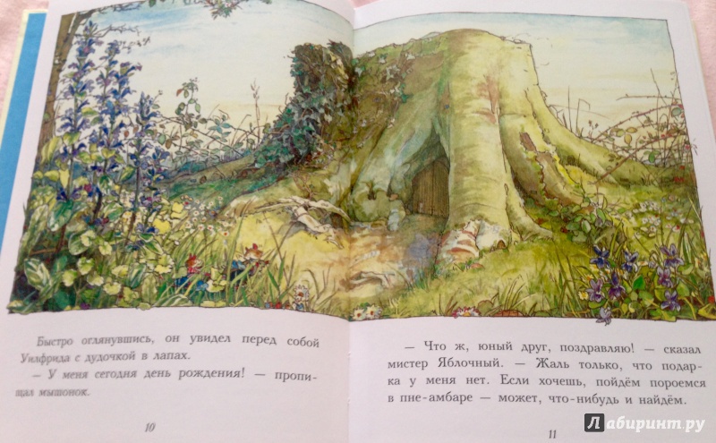 Иллюстрация 8 из 63 для Сказки и истории Ежевичной поляны - Джилл Барклем | Лабиринт - книги. Источник: Псевдоним