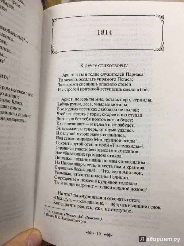 Иллюстрация 24 из 64 для Я вас любил... - Александр Пушкин | Лабиринт - книги. Источник: Lina