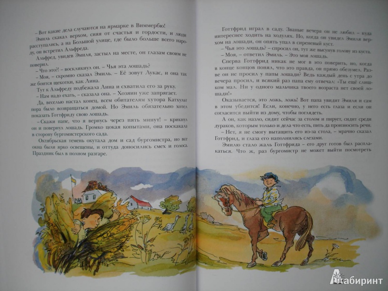 Иллюстрация 37 из 108 для Приключения Эмиля из Лённеберги - Астрид Линдгрен | Лабиринт - книги. Источник: Сорокина  Лариса