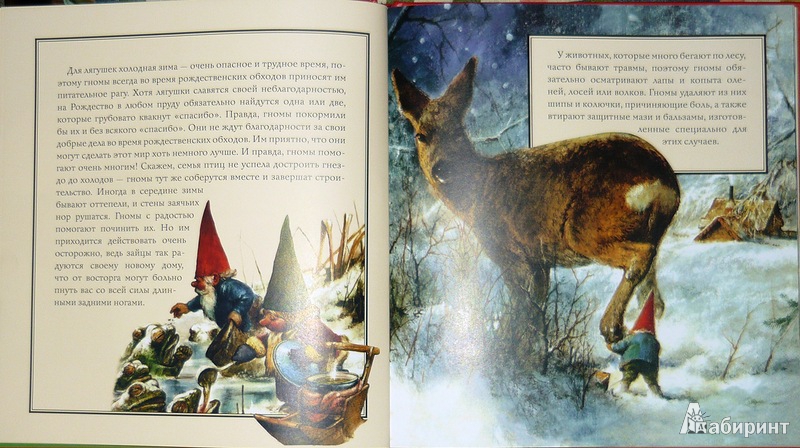 Иллюстрация 17 из 64 для Рождество гномов | Лабиринт - книги. Источник: Ромашка:-)