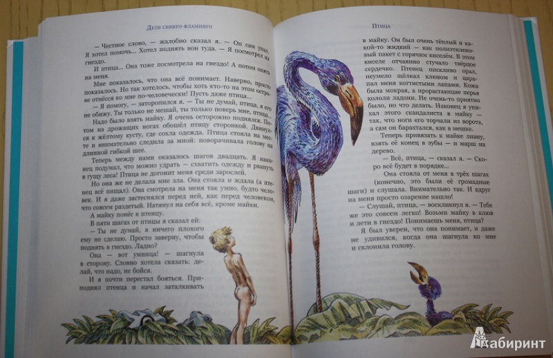 Иллюстрация 14 из 27 для Дети синего фламинго - Владислав Крапивин | Лабиринт - книги. Источник: КНИЖНОЕ ДЕТСТВО