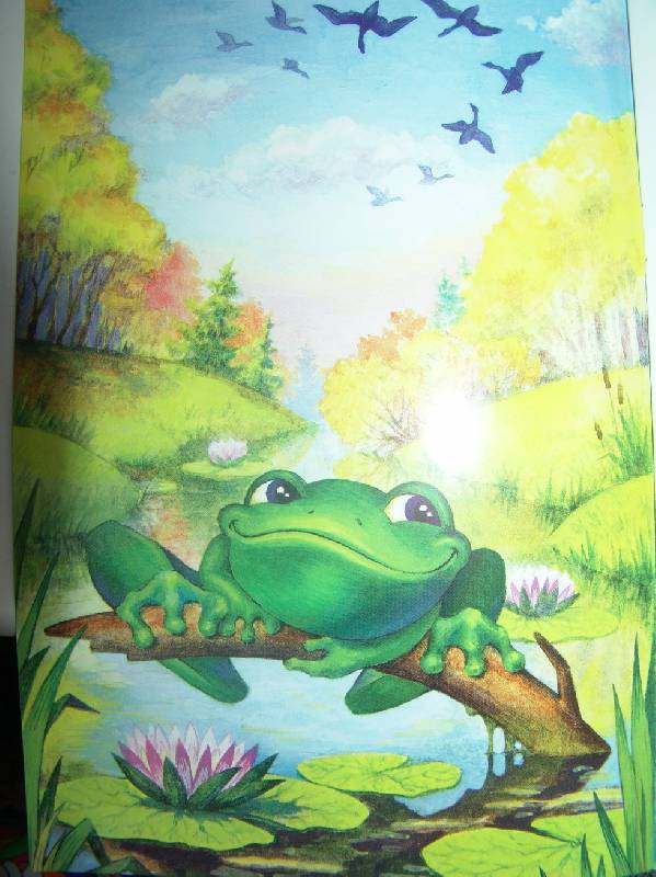 Иллюстрация 1 из 5 для Лягушка-путешественница - Всеволод Гаршин | Лабиринт - книги. Источник: Лаванда