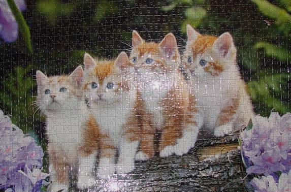 Иллюстрация 4 из 4 для Puzzle-1000. Четыре котенка (С-101344) | Лабиринт - игрушки. Источник: ЛиС-а