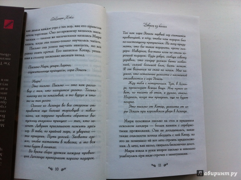 Иллюстрация 6 из 14 для Академия принцесс. Книга 2. Дворец из камня - Шеннон Хейл | Лабиринт - книги. Источник: ИрМур