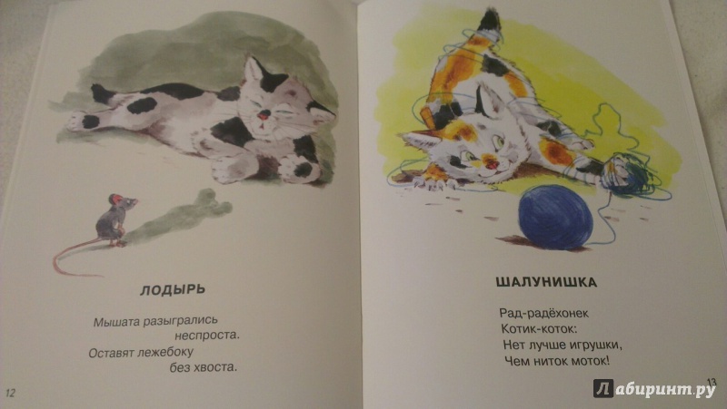 Иллюстрация 50 из 64 для Посмотрите какие котята - Владимир Матвеев | Лабиринт - книги. Источник: Кузнецова  Елена
