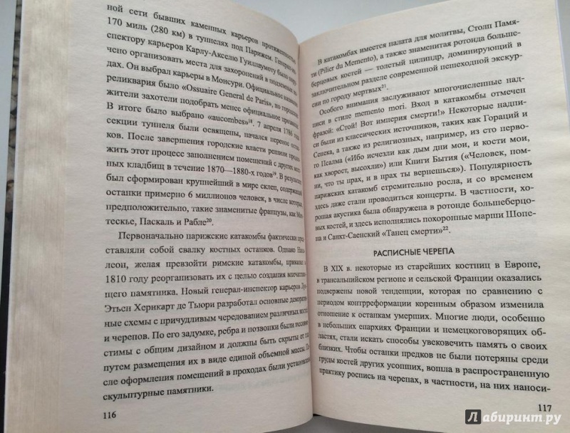 Иллюстрация 18 из 22 для Символ "мертвая голова" - Сергей Неподкосов | Лабиринт - книги. Источник: Василидзе