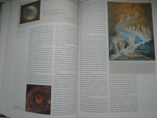 Иллюстрация 27 из 34 для Катастрофы в истории Земли и человека - Юрий Голубчиков | Лабиринт - книги. Источник: Nadezhda_S
