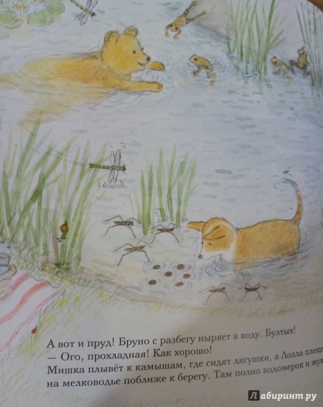 Иллюстрация 50 из 58 для Лето мишки Бруно - Гунилла Ингвес | Лабиринт - книги. Источник: Панина Елена