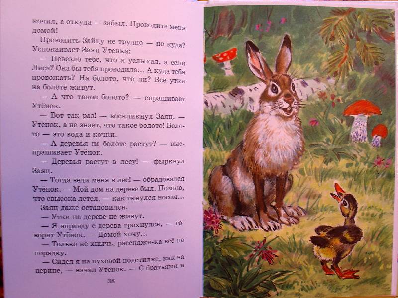 Иллюстрация 10 из 11 для Лесные сказки - Николай Сладков | Лабиринт - книги. Источник: samuel whiskers