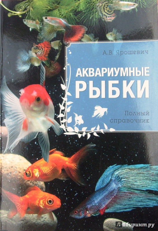 Иллюстрация 2 из 7 для Аквариумные рыбки - Анжелика Ярошевич | Лабиринт - книги. Источник: Соловьев  Владимир