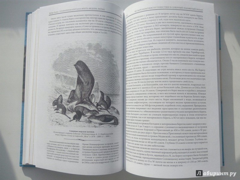 Иллюстрация 9 из 38 для Плавания капитана флота Федора Литке вокруг света и по Северному ледовитому океану - Федор Литке | Лабиринт - книги. Источник: VALERIYA