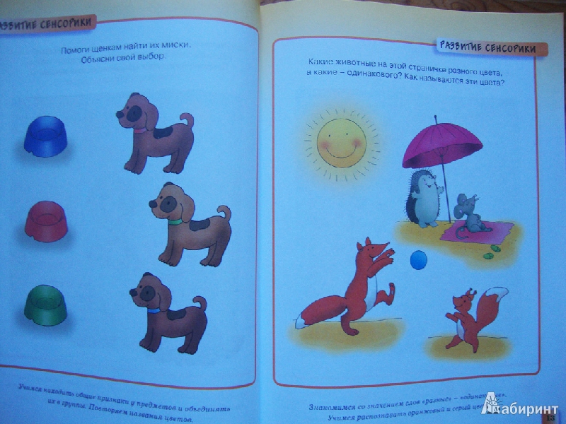 Иллюстрация 21 из 25 для Развивающие тесты для детей 2-3 лет - Ольга Земцова | Лабиринт - книги. Источник: Tutti  Frutti