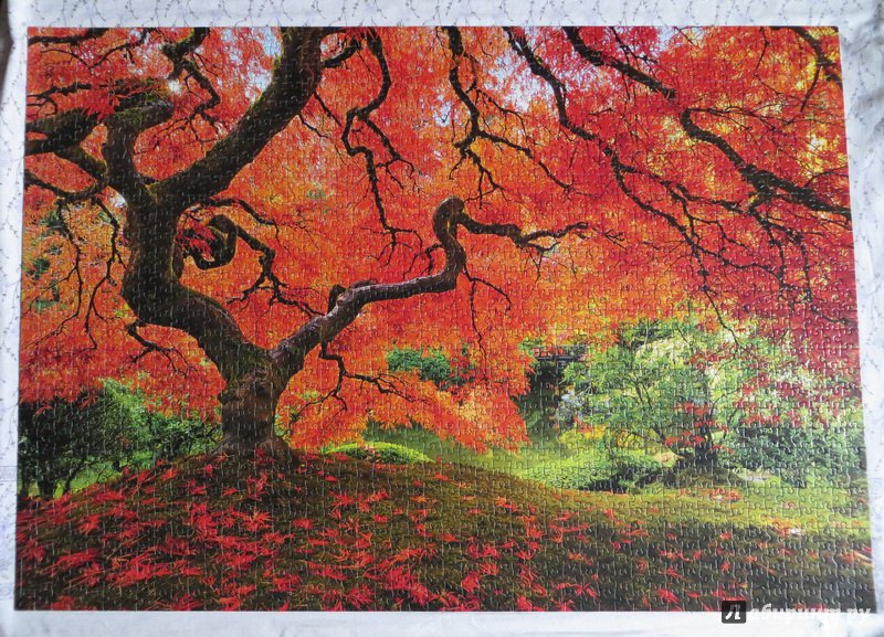 Иллюстрация 11 из 11 для Пазл-1500 "Осень в японском саду" (16310) | Лабиринт - игрушки. Источник: Катовася