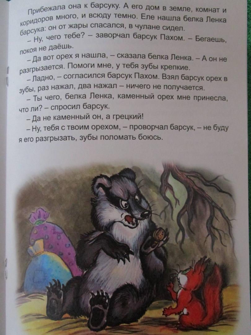 Иллюстрация 16 из 18 для Лиса Лариска и белка Ленка - Николай Грибачев | Лабиринт - книги. Источник: читатель