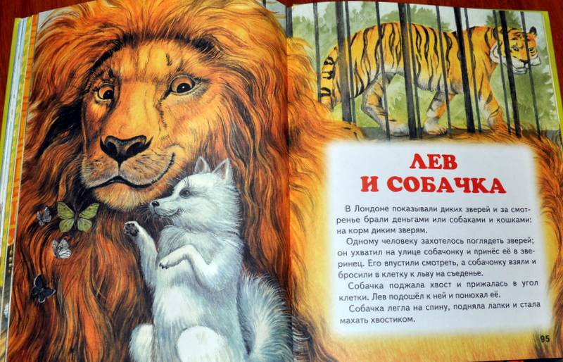 Иллюстрация 12 из 64 для Истории Кота-Мурлыки: сказки | Лабиринт - книги. Источник: Ассоль
