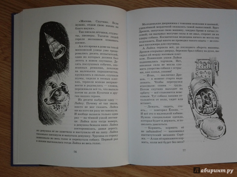 Иллюстрация 31 из 65 для Тяпа, Борька и ракета - Баранова, Велтистов | Лабиринт - книги. Источник: Olga