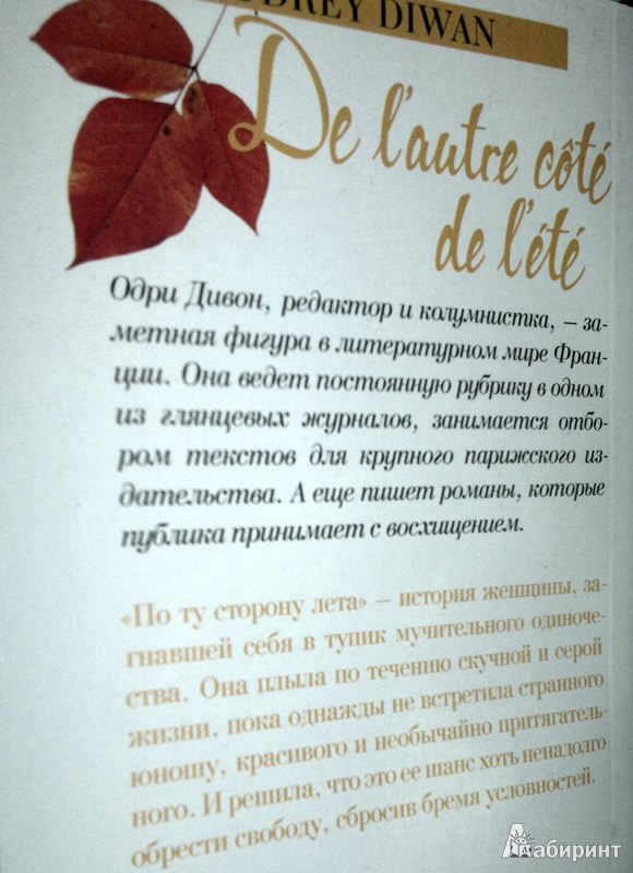 Иллюстрация 7 из 7 для По ту сторону лета - Одри Дивон | Лабиринт - книги. Источник: Леонид Сергеев