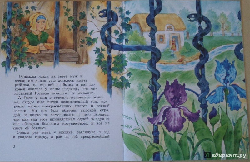 Иллюстрация 2 из 9 для Рапунцель - Гримм Якоб и Вильгельм | Лабиринт - книги. Источник: ИшьТы