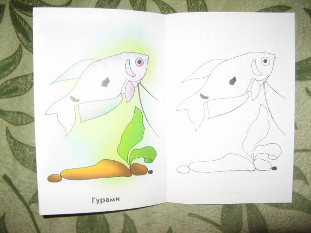 Иллюстрация 2 из 5 для Аквариумные рыбки. Раскраска для детей  6-7лет | Лабиринт - книги. Источник: libe