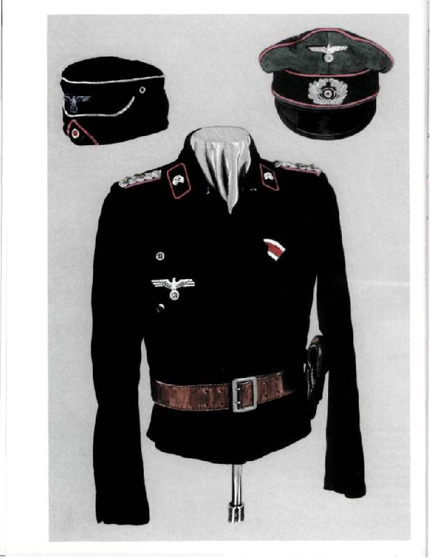 Иллюстрация 15 из 40 для Униформа III Рейха. Бронетанковые войска. 1934-1945 - Вернер Хорн | Лабиринт - книги. Источник: Юта
