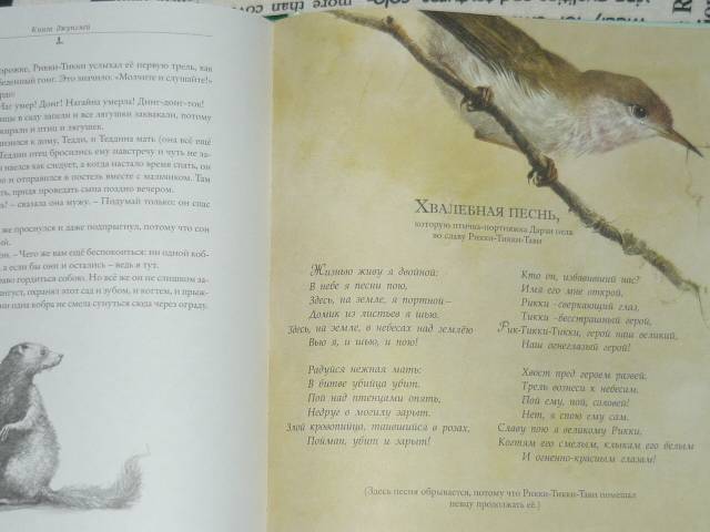 Иллюстрация 105 из 164 для Книга джунглей - Редьярд Киплинг | Лабиринт - книги. Источник: Ромашка:-)