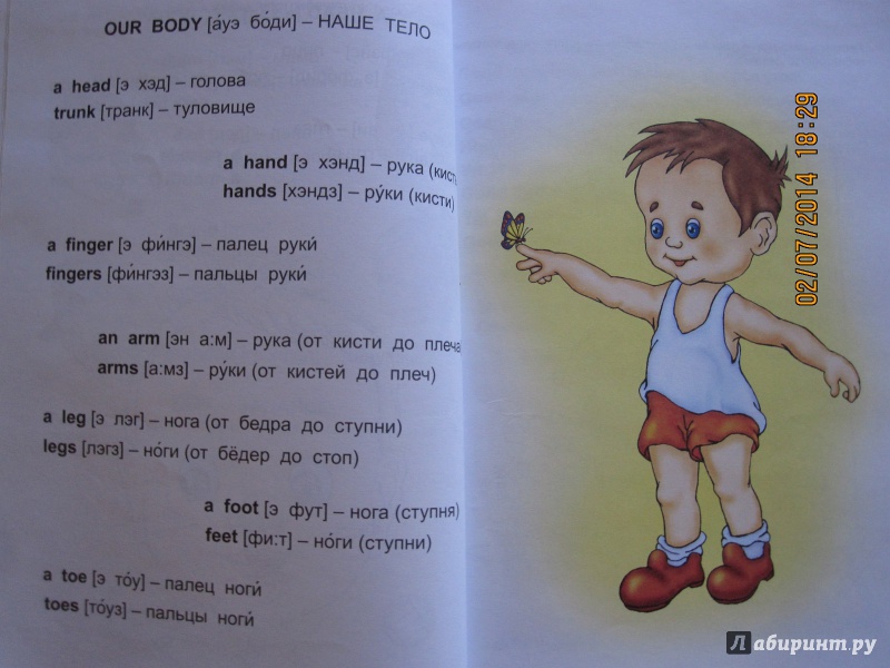 Иллюстрация 5 из 53 для Английский язык для малышей - Валерий Пронин | Лабиринт - книги. Источник: Русских  Юлия