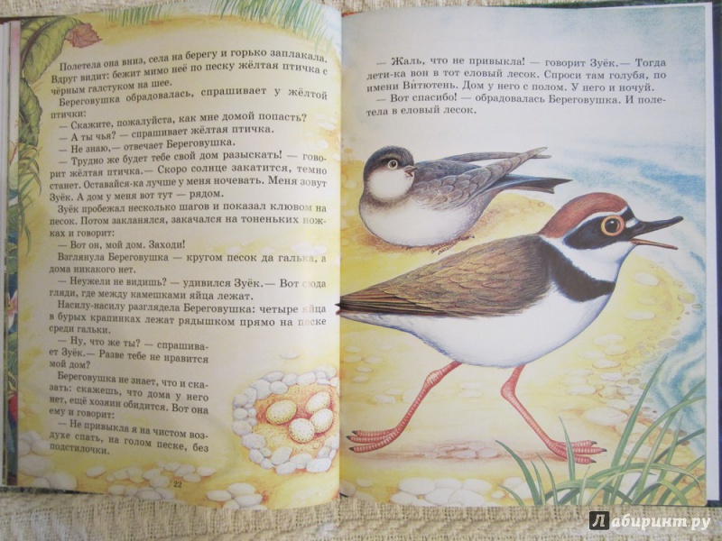 Иллюстрация 11 из 18 для Лесные домишки - Виталий Бианки | Лабиринт - книги. Источник: ЮлияО