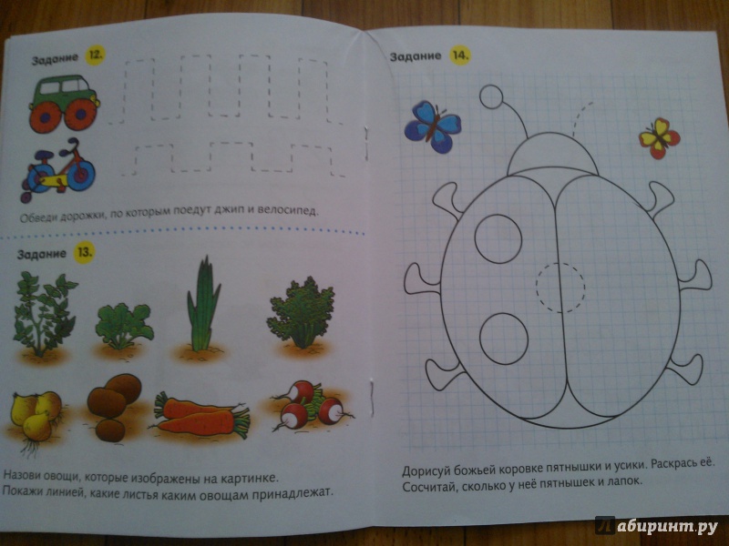 Иллюстрация 26 из 44 для Полезные задания. Для детей 4-5 лет. Котик | Лабиринт - книги. Источник: Вероника Руднева
