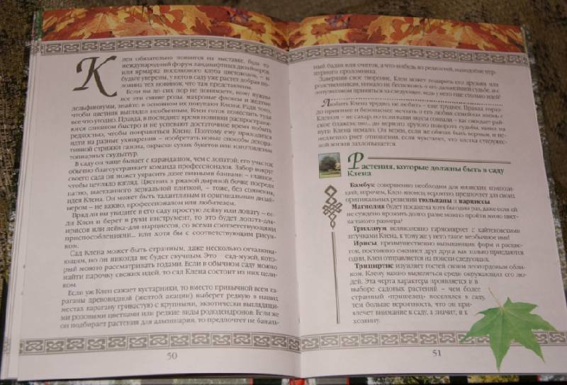 Иллюстрация 5 из 7 для Растения, которые изменят вашу жизнь. Кельтский гороскоп: Тайны друидов - Джулия Крейсс | Лабиринт - книги. Источник: mama