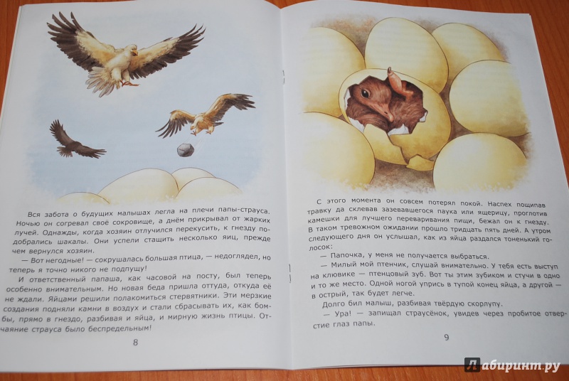Иллюстрация 10 из 31 для Заботы страуса - Лариса Тарасенко | Лабиринт - книги. Источник: Нади