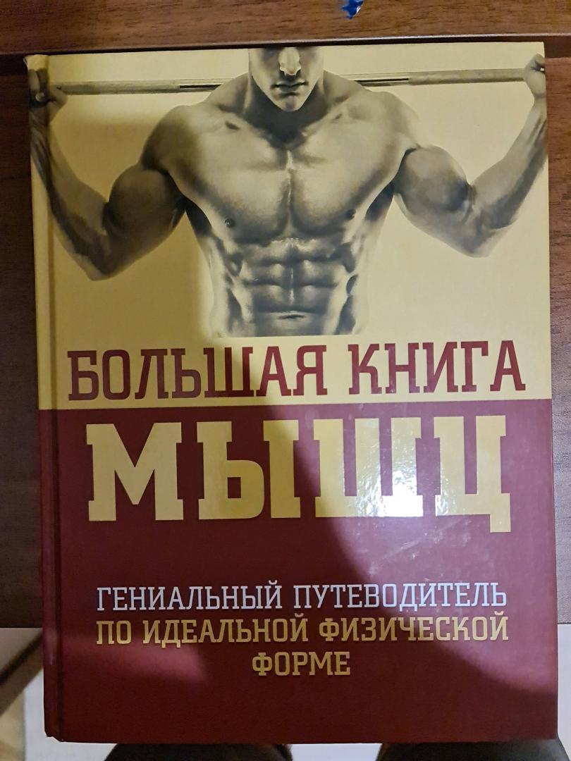 Иллюстрация 39 из 42 для Большая книга мышц. Гениальный путеводитель по идеальной физической форме - Кинг, Шулер | Лабиринт - книги. Источник: Sargsyan Narek