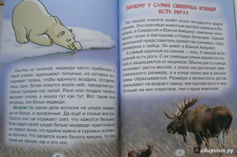 Иллюстрация 4 из 5 для Тайны живой природы - Юрий Гурин | Лабиринт - книги. Источник: Марина