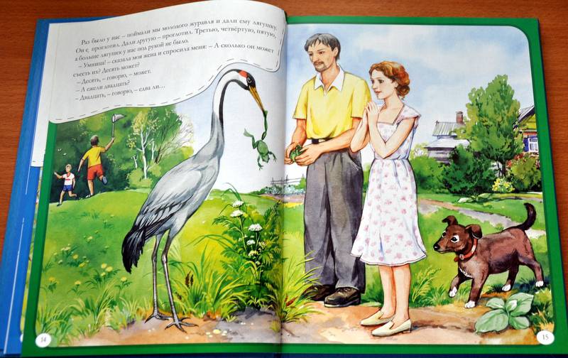 Иллюстрация 21 из 44 для Рассказы о животных для маленьких - Михаил Пришвин | Лабиринт - книги. Источник: Ассоль