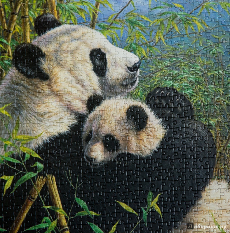 Иллюстрация 4 из 7 для Puzzle-1000 "Панды" (C-102518) | Лабиринт - игрушки. Источник: DogMeat