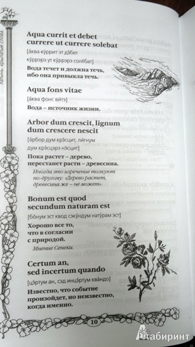 Иллюстрация 35 из 39 для Латинские крылатые слова и выражения на все случаи | Лабиринт - книги. Источник: Леонид Сергеев